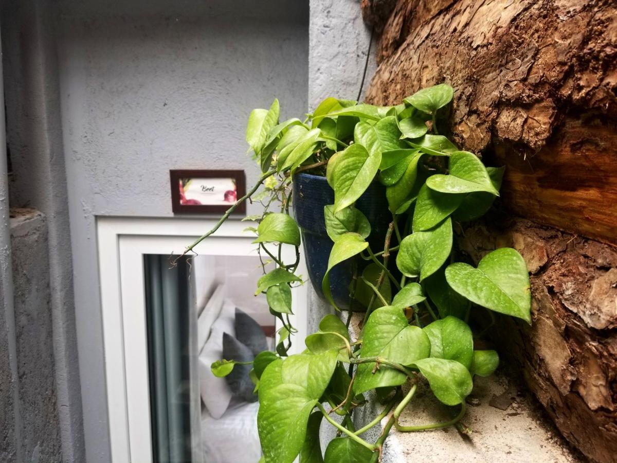 Ribe'S House Apartment ดาลัด ภายนอก รูปภาพ