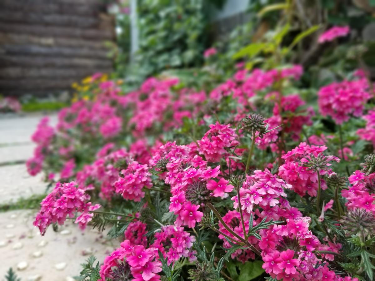 Ribe'S House Apartment ดาลัด ภายนอก รูปภาพ