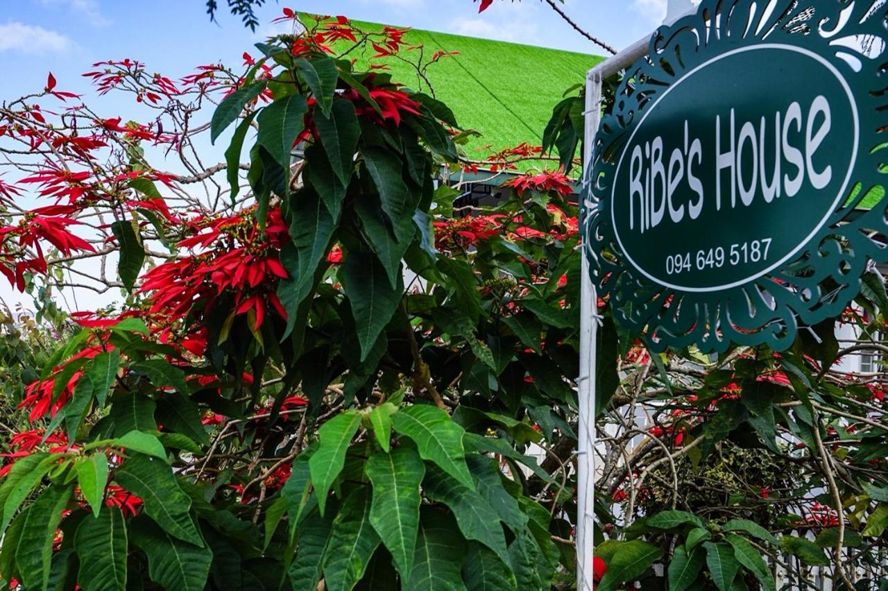Ribe'S House Apartment ดาลัด ภายนอก รูปภาพ